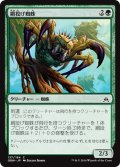 【JPN】網投げ蜘蛛/Netcaster Spider[MTG_OGW_137C]