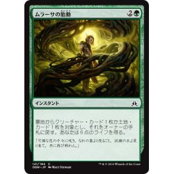 画像1: 【JPN】ムラーサの胎動/Pulse of Murasa[MTG_OGW_141C]