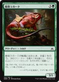 【JPN】鞍背ラガーク/Saddleback Lagac[MTG_OGW_142C]