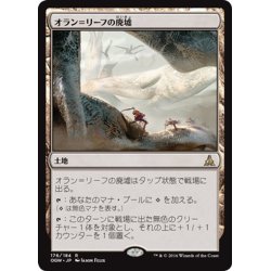 画像1: 【JPN】オラン＝リーフの廃墟/Ruins of Oran-Rief[MTG_OGW_176R]