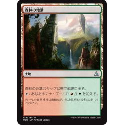 画像1: 【JPN】森林の地溝/Timber Gorge[MTG_OGW_179U]