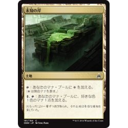 画像1: 【JPN】未知の岸/Unknown Shores[MTG_OGW_181C]