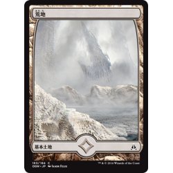 画像1: 【JPN】荒地/Wastes[MTG_OGW_183C]