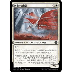 画像1: 【JPN】肉剥ぎの猛禽/Flensing Raptor[MTG_ONE_012C]