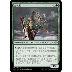 画像1: 【JPN】腐れ花/Cankerbloom[MTG_ONE_161U]