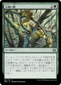 【JPN】人喰い梢/Carnivorous Canopy[MTG_ONE_162C]