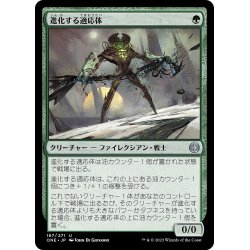 画像1: 【JPN】進化する適応体/Evolving Adaptive[MTG_ONE_167U]