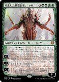 【JPN】向上した精霊信者、ニッサ/Nissa, Ascended Animist[MTG_ONE_175M]