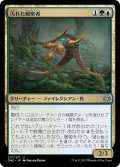 【JPN】汚れた観察者/Tainted Observer[MTG_ONE_217U]