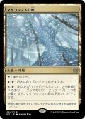 【JPN】★Foil★マイコシンスの庭/The Mycosynth Gardens[MTG_ONE_256R]