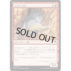 画像1: 【JPN】トゲイノシシ/Prickleboar[MTG_ORI_158C]