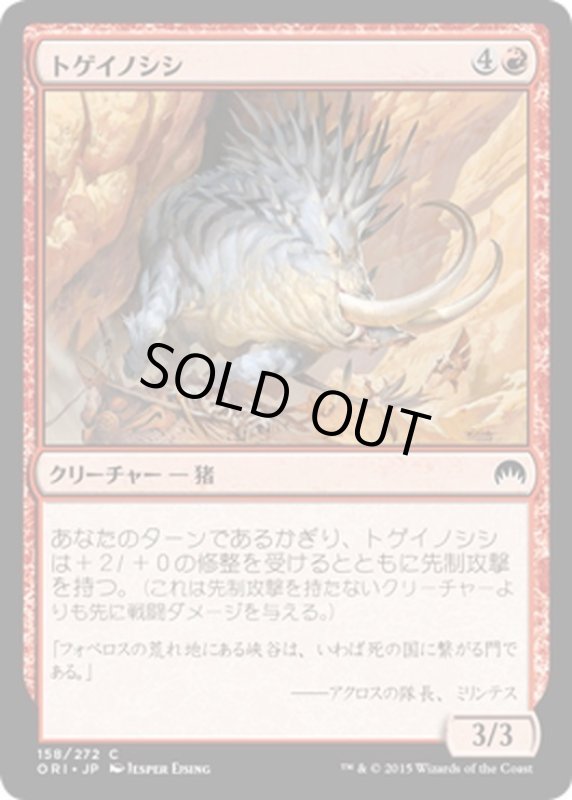 画像1: 【JPN】トゲイノシシ/Prickleboar[MTG_ORI_158C] (1)