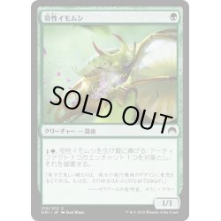 画像1: 【JPN】苛性イモムシ/Caustic Caterpillar[MTG_ORI_170C]