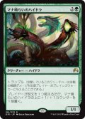 【JPN】マナ喰らいのハイドラ/Managorger Hydra[MTG_ORI_186R]