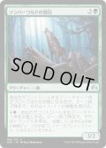 【JPN】ソンバーワルドの頭目/Somberwald Alpha[MTG_ORI_198U]