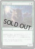 【JPN】森林群れの狼/Timberpack Wolf[MTG_ORI_200C]