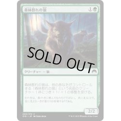 画像1: 【JPN】森林群れの狼/Timberpack Wolf[MTG_ORI_200C]