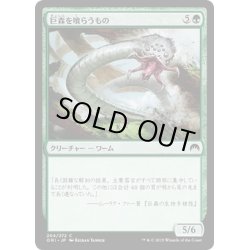 画像1: 【JPN】巨森を喰らうもの/Vastwood Gorger[MTG_ORI_204C]