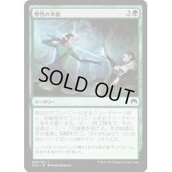 画像1: 【JPN】野性の本能/Wild Instincts[MTG_ORI_206C]