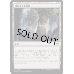 画像1: 【JPN】進化する未開地/Evolving Wilds[MTG_ORI_246C]