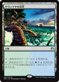 【JPN】ヤヴィマヤの沿岸/Yavimaya Coast[MTG_ORI_252R]