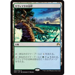 画像1: 【JPN】ヤヴィマヤの沿岸/Yavimaya Coast[MTG_ORI_252R]