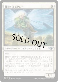 【JPN】養育するピクシー/Nurturing Pixie[MTG_OTJ_0020_U]