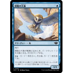 画像1: 【JPN】侵略の大梟/Harrier Strix[MTG_OTJ_0052_C]