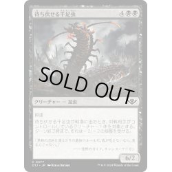 画像1: 【JPN】待ち伏せる千足虫/Ambush Gigapede[MTG_OTJ_0077_C]