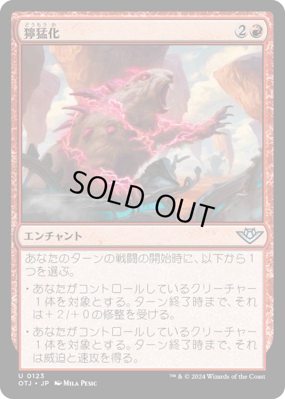 画像1: 【JPN】獰猛化/Ferocification[MTG_OTJ_0123_U] (1)