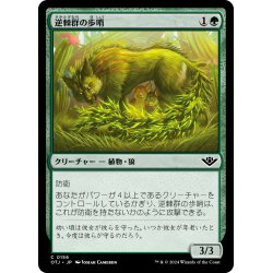 画像1: 【JPN】逆棘群の歩哨/Bristlepack Sentry[MTG_OTJ_0156_C]