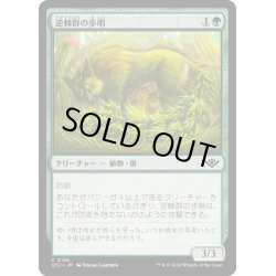 画像1: 【JPN】逆棘群の歩哨/Bristlepack Sentry[MTG_OTJ_0156_C]