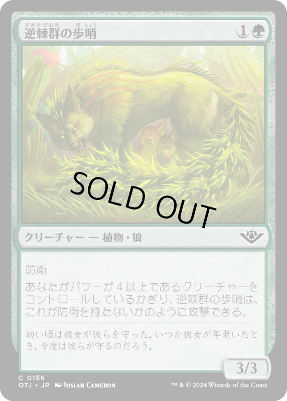 画像1: 【JPN】逆棘群の歩哨/Bristlepack Sentry[MTG_OTJ_0156_C] (1)