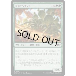 画像1: 【JPN】サボテンチュラ/Cactarantula[MTG_OTJ_0158_C]