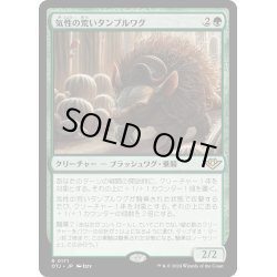 画像1: 【JPN】気性の荒いタンブルワグ/Ornery Tumblewagg[MTG_OTJ_0171_R]