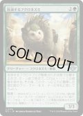 【JPN】放浪するフクロネズミ/Rambling Possum[MTG_OTJ_0176_U]