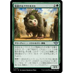 画像1: 【JPN】放浪するフクロネズミ/Rambling Possum[MTG_OTJ_0176_U]