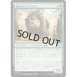 画像1: 【JPN】放浪するフクロネズミ/Rambling Possum[MTG_OTJ_0176_U]