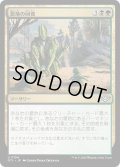 【JPN】悪地の回復/Badlands Revival[MTG_OTJ_0194_U]