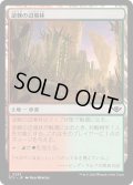 【JPN】逆棘の辺境林/Bristling Backwoods[MTG_OTJ_0253_C]