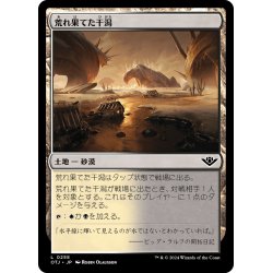 画像1: 【JPN】荒れ果てた干潟/Forlorn Flats[MTG_OTJ_0258_C]