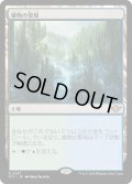 【JPN】植物の聖域/Botanical Sanctum[MTG_OTJ_0267_R]