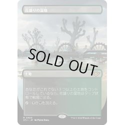 画像1: 【JPN】花盛りの湿地/Blooming Marsh[MTG_OTJ_0300_R]