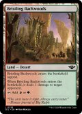 【ENG】逆棘の辺境林/Bristling Backwoods[MTG_OTJ_0253_C]