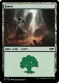 【ENG】森/Forest[MTG_OTJ_0285_L]