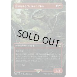 画像1: 【JPN】狩りをするヴェロキラプトル/Hunting Velociraptor[MTG_REX_0004R]