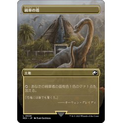 画像2: 【JPN】統率の塔/Command Tower[MTG_REX_0026L]