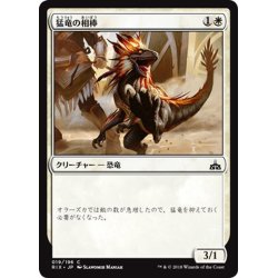 画像1: 【JPN】猛竜の相棒/Raptor Companion[RIX_019C]