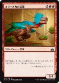 【JPN】オラーズカの猛竜/Orazca Raptor[RIX_108Ｃ]