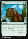 【JPN】帰化/Naturalize[RIX_139C]